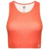 Dare 2b Womens/Ladies Fleur East Edit Move Logo HighNeck Sports Bra (Neon Peach) -Motion Style k104208d0e60559f6c144a42682e2f4e6