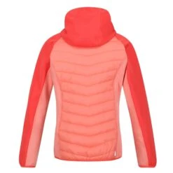 Regatta Womens/Ladies Andreson VI Insulated Jacket (Fusion Coral/Neon Peach) -Motion Style k2f22f8e957aa8249c3fd876b5733a586