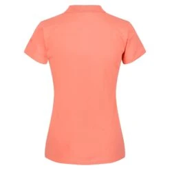 Regatta Sinton Women's Fitness Short Sleeve T-Shirt -Motion Style k62aee9d3849b1a740683d1f3f5d180c7