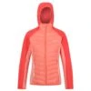 Regatta Womens/Ladies Andreson VI Insulated Jacket (Fusion Coral/Neon Peach) 1 Regatta Womens/Ladies Andreson VI Insulated Jacket (Fusion Coral/Neon Peach) -Motion Style k94a9f22de5def5701fc84e923dd5479a