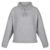 Regatta Womens/Ladies Janelle Marl Jersey Sweatshirt (Storm Grey)